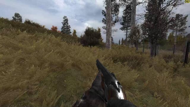 S.T.A.L.K.E.R: Call of Pripyat - Absolute Nature 4