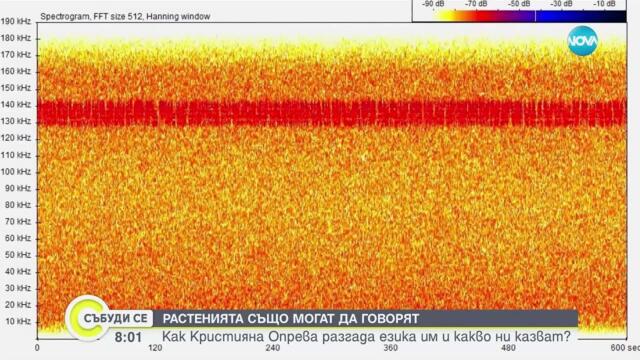 Момичето, което говори с растенията:Кристияна Опрева, която разгада езика им