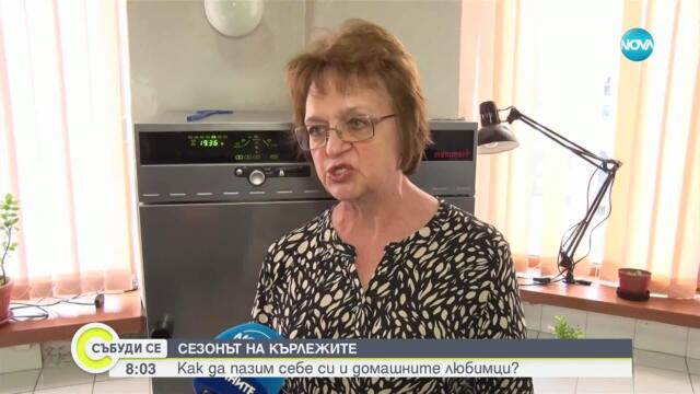 В сезона на кърлежите: Как да пазим себе си и домашните любимци