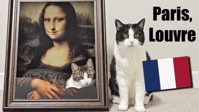Cats Visit Louvre Museum To See Mona Lisa !!