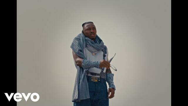 Mayorkun - Reason 2 Japa (Official Music Video)