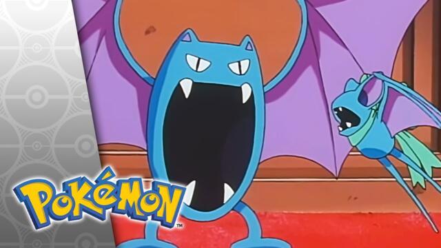 Hassle in the Castle | POKÉMON FULL EPISODE 8 | Season 4