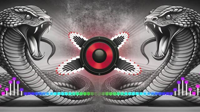 Nagin Dhun Dj Song 2025 | nagin dj song | Nagin Dance DJ Remix Song Full Bass Vibration Mix 2025