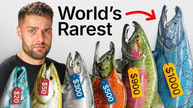 I Cooked Every EXOTIC Salmon