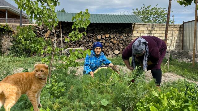 Azerbaijani Traditional Sabzi Pilaf Recipe | Rich Meal with Healthy Herbs