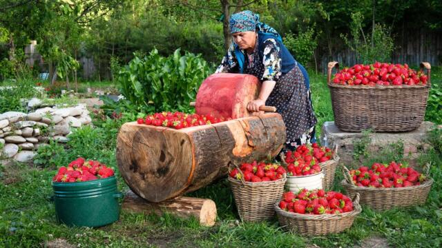 Village Strawberry Cake & Homemade Strawberry Pastila Recipe