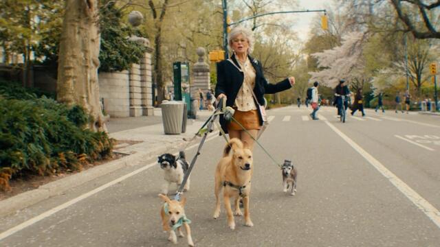 Frankie Cosmos - Pressed Flower (Official Video)