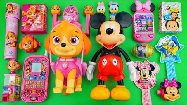 Mickey Mouse & Paw Patrol Candy Unboxing Review| Mixing M&M's Candy Rainbow Candy with Sweets ASMR