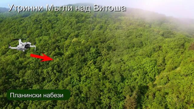 Утринни мъгли над Витоша от #mechanicalWings
