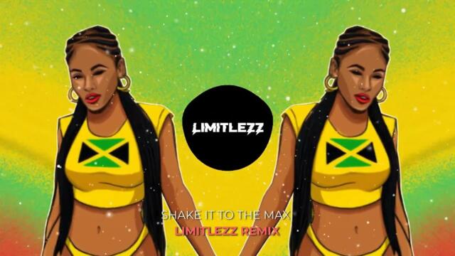 SHAKE IT TO THE MAX (Limitlezz Remix)