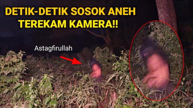 PENAMPAKAN SOSOK MISTERIUS!! 15 TAHUN TINGGAL SENDIRI BIKIN RUMAH DI HUTAN ANEH