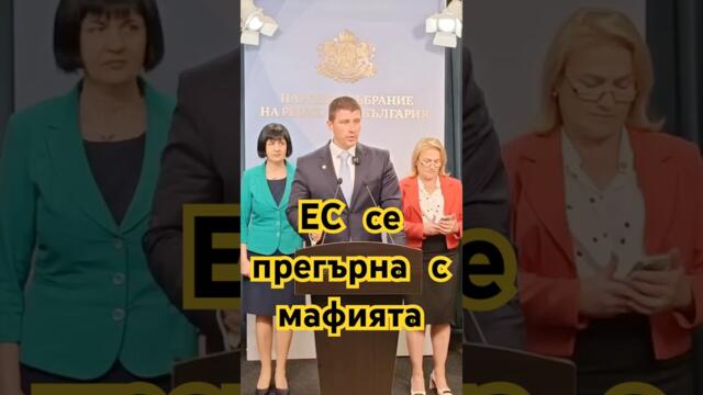 ЕС прие стратегията на ДПС “Ново начало” и излъга целия български народ! #bulgaria #българия #news