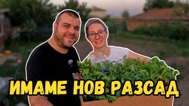 Имаме нов разсад | Разширяваме градината | Милчеви БГ