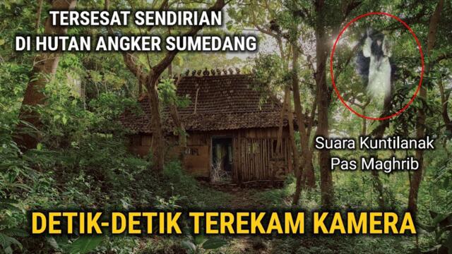 TERJEBAK DI HUTAN BERHANTU!! SUARA KUNTILANAK TERTAWA DI RUMAH POHON TERSEMBUNYI DI GUNUNG TAMPOMAS