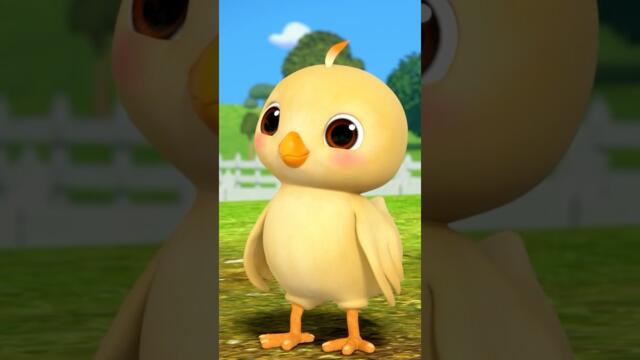 Cute Baby Ducks! | Kids Sing Along!