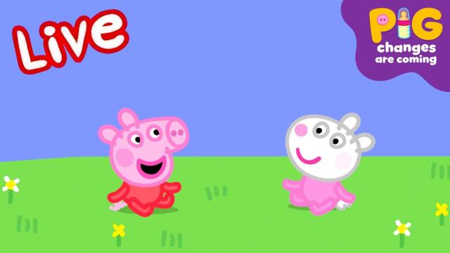 Peppa Pig BABY Episodes LIVE 🍼🧸 Pig Changes are Coming! ⭐️ Kids Cartoons #ExpectingPigChanges 2025-06-08 16:42