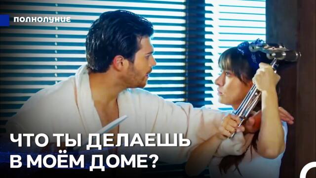Любовь При Лунном Свете #1: Ожидаемый Тёплый Приём Не Состоялся - Полнолуние