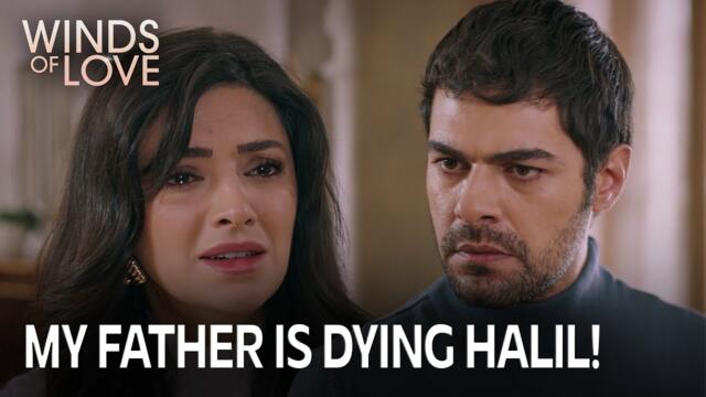 Gözde #zeyhal'in Fransa'ya gitmesine engel oldu | Rüzgarlı Tepe 209. Bölüm