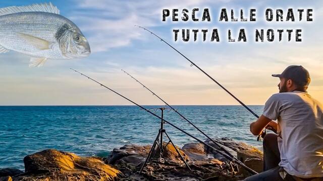 TUTTA la notte a PESCA di ORATE ma trovo tantissime specie diverse