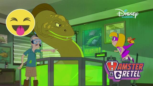 Битка със змиорка | Хамстер & Гретел
