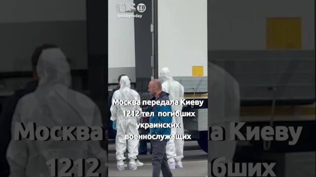 Россия и Украина обменялись телами солдат — что дальше?