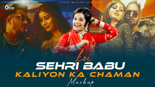 Koi Sehri Babu X Kaliyon Ka Chaman | Emiway Bantai X Divine | New Remix 2025 | Gtesh Muzikk #mashup