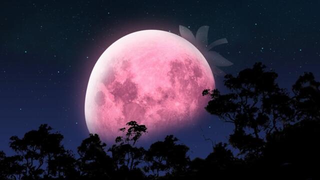 🔮🌝🍓КЛУБНИЧНОЕ ПОЛНОЛУНИЕ- ЕГО ПЛЮСЫ И МИНУСЫ‼️🌜