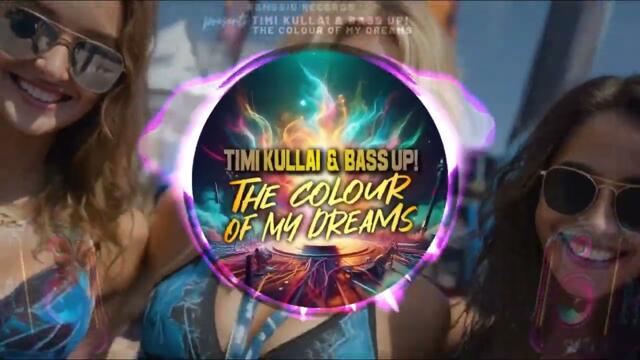 Timi Kullai & Bass Up! - The Colour of My Dreams