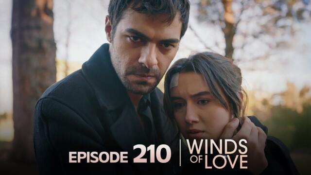 Rüzgarlı Tepe 210. Bölüm | Winds of Love Episode 210