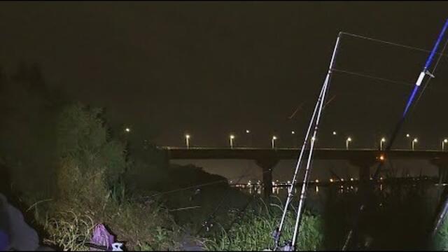 рыбалка на сазана в полнолуние