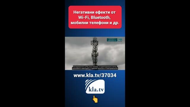 Световната смъртност при пчелите - резултат от изкуствени магнитни полета? 🐝