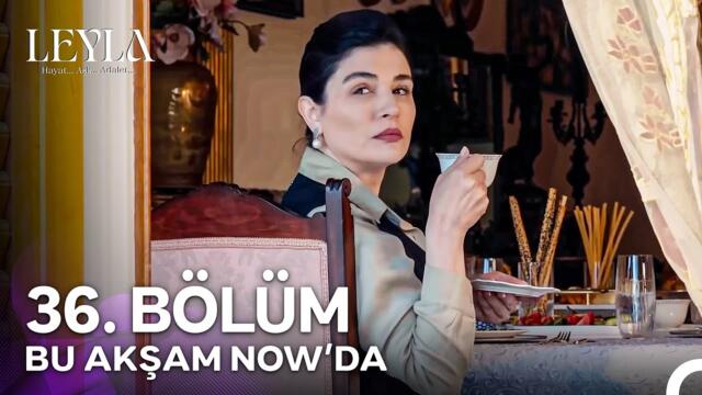 Leyla: Hayat…Aşk…Adalet... 36. Bölüm Bu Akşam NOW'da!