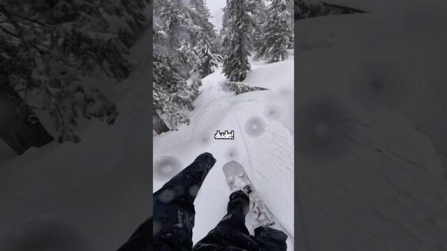 Never trust the Weather App! 🤗