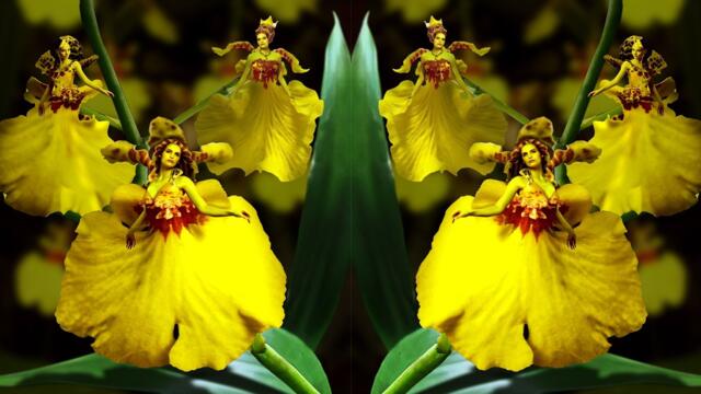 🌻🌹Близо до сърцето ... (Richard Clayderman)🌺🌼