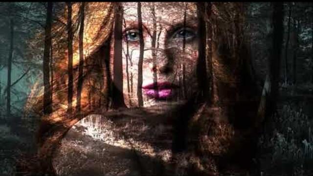 Остава - Шоколад - Текст