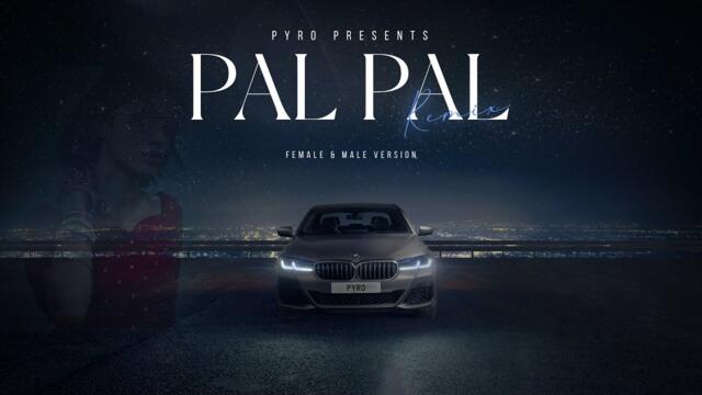 Pyro - Pal Pal Remix (Female & Male Version) | Music Video