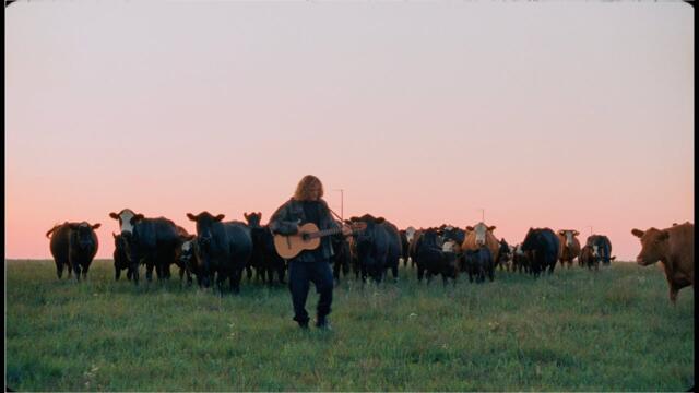 Felly - Route 44 (official music video)
