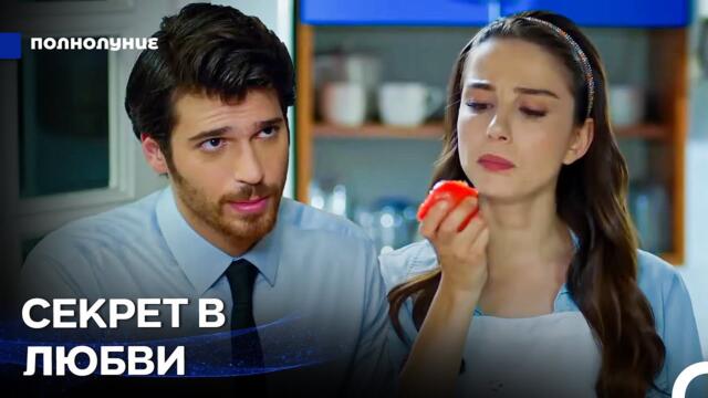 Любовь При Лунном Свете #14: Секретный Рецепт Соуса: Любовь - Полнолуние