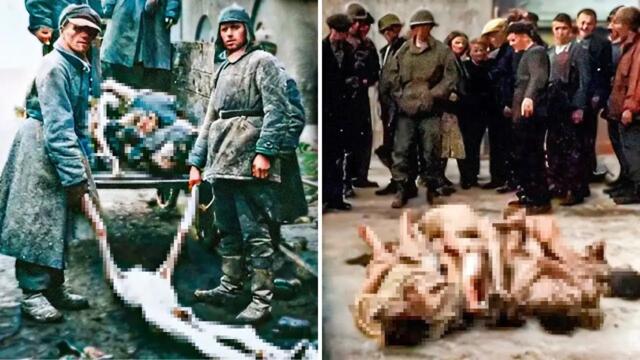 Какво се случи, когато бяха открити нацистките концентрационни лагери?