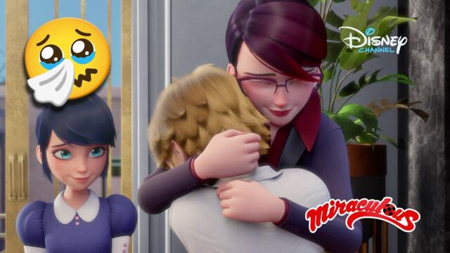 Семейство | МегаЧудесата на Калинката и Черния котарак | Disney Channel Bulgaria