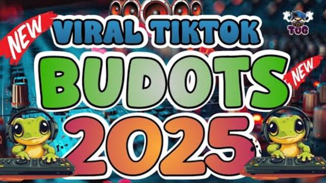 BUDOTS DISCO HATAW NONSTOP | VIRAL TIKTOK BUDOTS DANCE MIX 2025