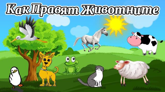 Бау, Мяу, Му | Как Правят Животните | Образователно Видео За Деца