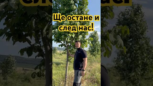 Истинска грижа за България без евросредства и кражби от програми! #bulgaria #българия #величие #бг