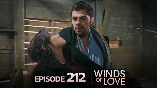 Rüzgarlı Tepe 212. Bölüm | Winds of Love Episode 212