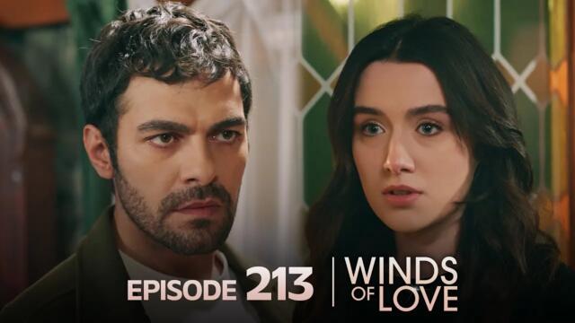 Rüzgarlı Tepe 213. Bölüm | Winds of Love Episode 213