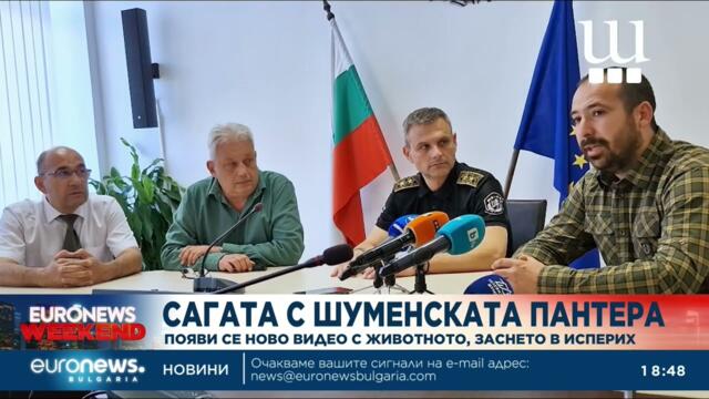 Сагата с шуменската пантера: Появи се ново видео с животното, заснето в Исперих