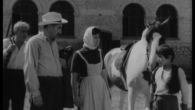 Конникът (1964) 1/2