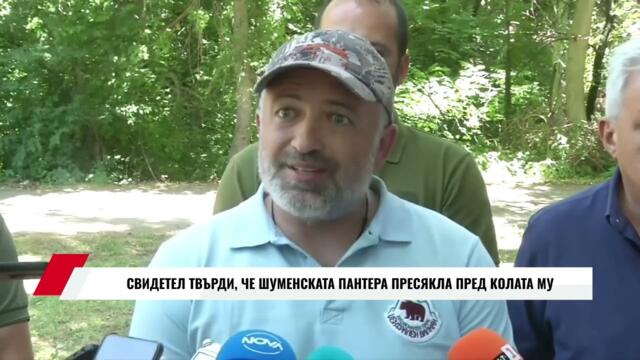СВИДЕТЕЛ ТВЪРДИ, ЧЕ ШУМЕНСКАТА ПАНТЕРА ПРЕСЯКЛА ПРЕД КОЛАТА МУ