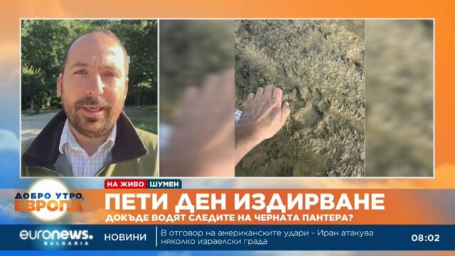 Пантерата край Шумен още не е открита, разширен е периметърът на търсенето