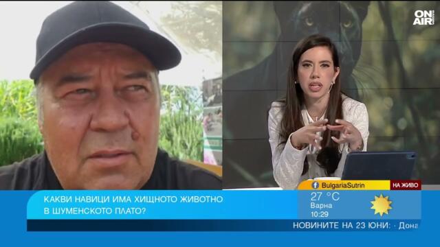 Пантерата от Шумен търси плячка, убива при заплаха, силна е и оградите не могат да я спрат